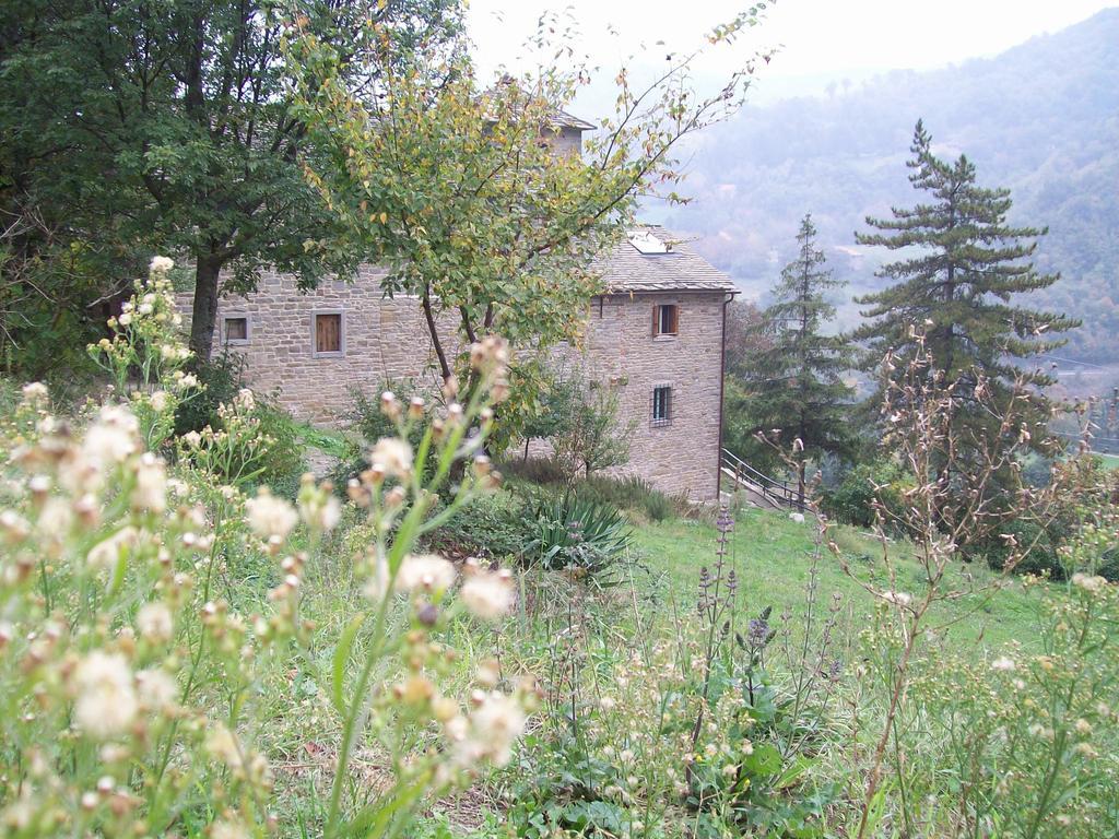 Pieve di Cà Maggiore Firenzuola Esterno foto