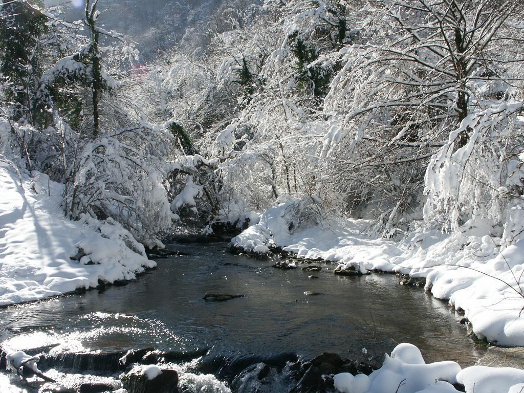 Pieve di Cà Maggiore Firenzuola Esterno foto