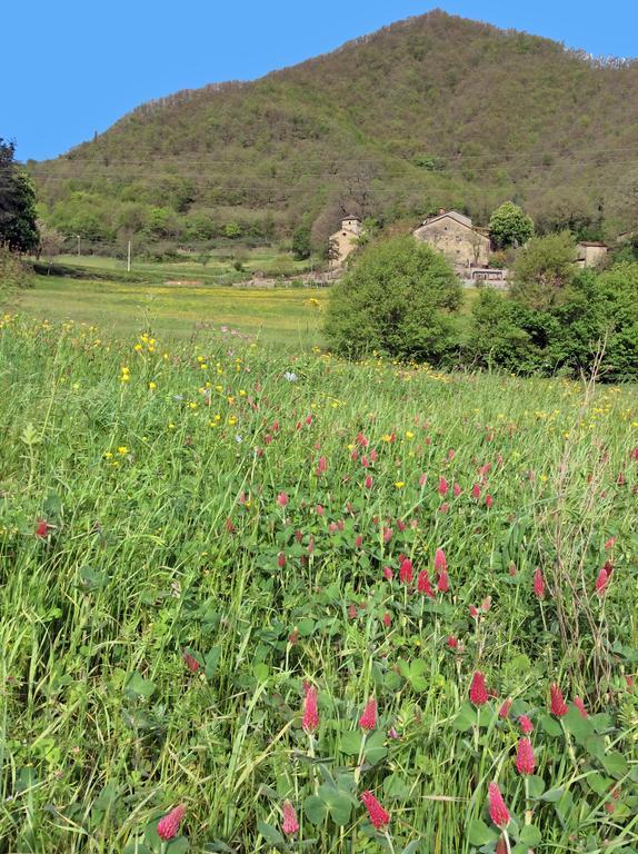 Pieve di Cà Maggiore Firenzuola Esterno foto